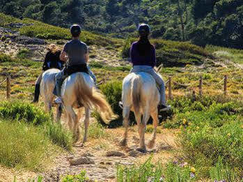 Finca Hotel Predio Son Serra Hotel Can Picafort (Mallorca)